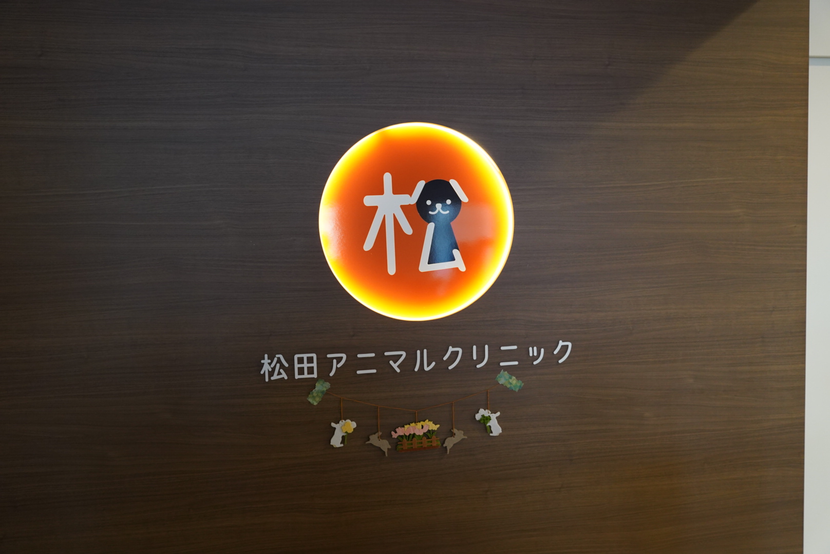 https://r-voice-t.com