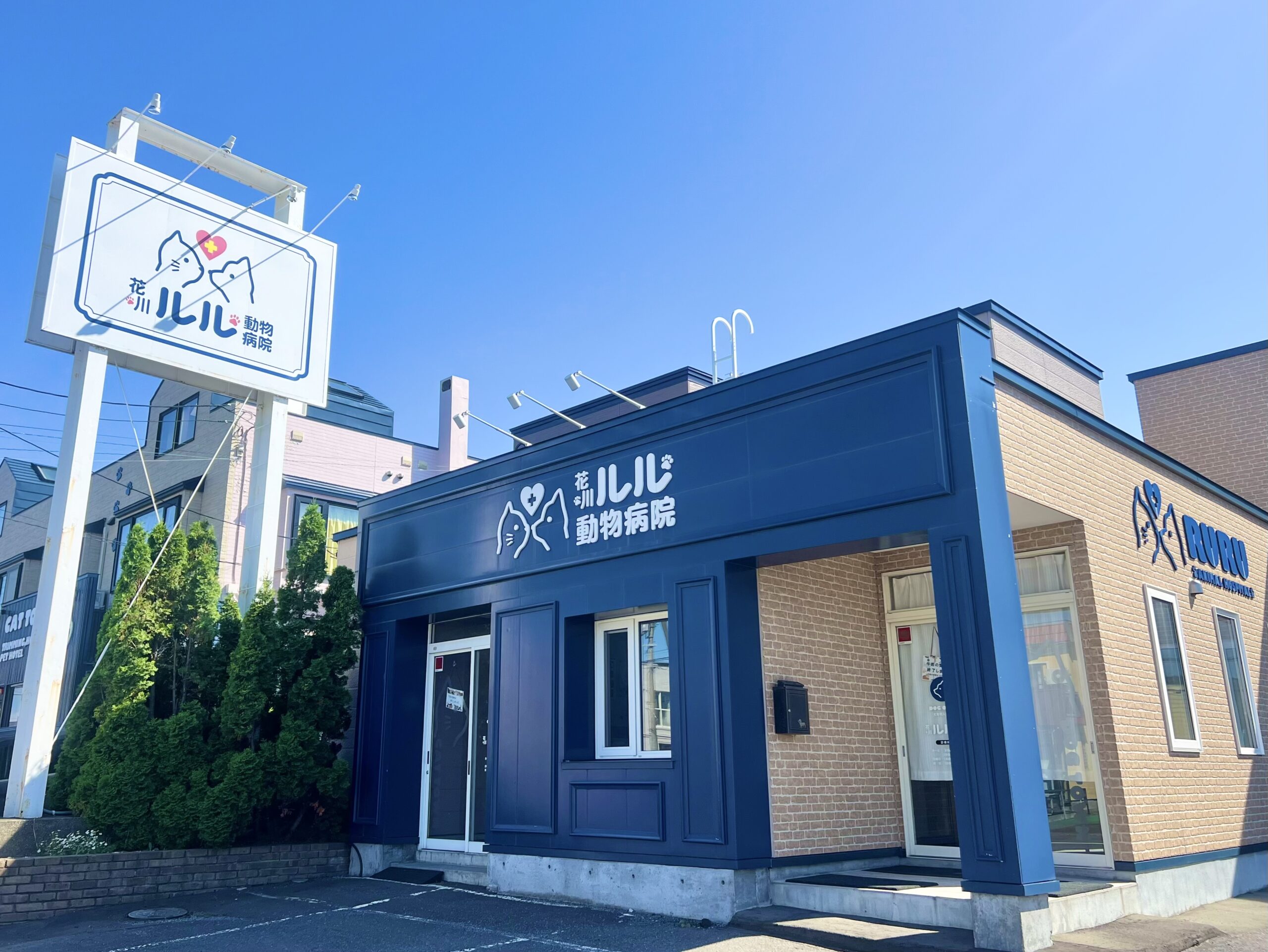 ルル動物病院 花川院様