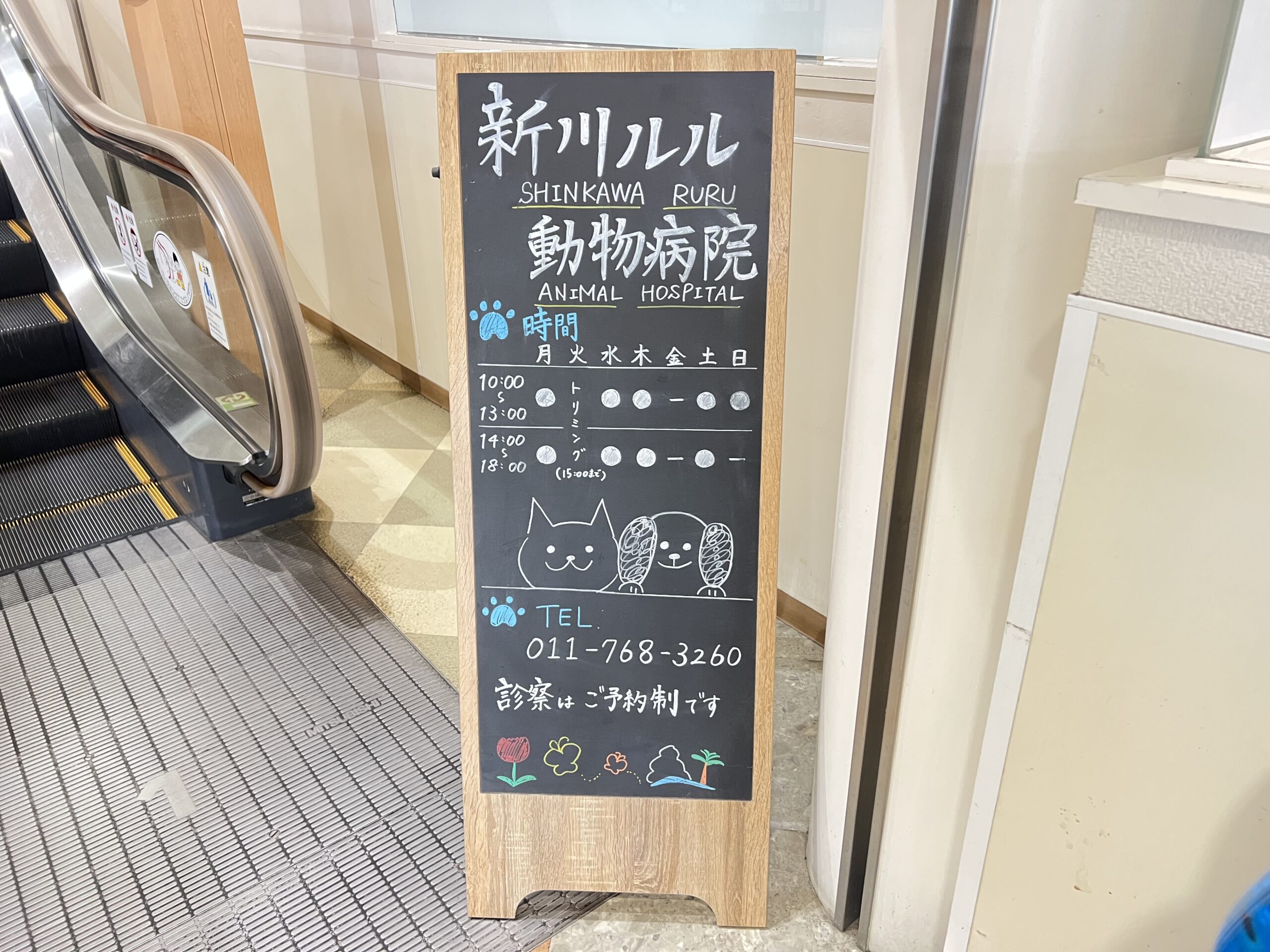 https://r-voice-t.com