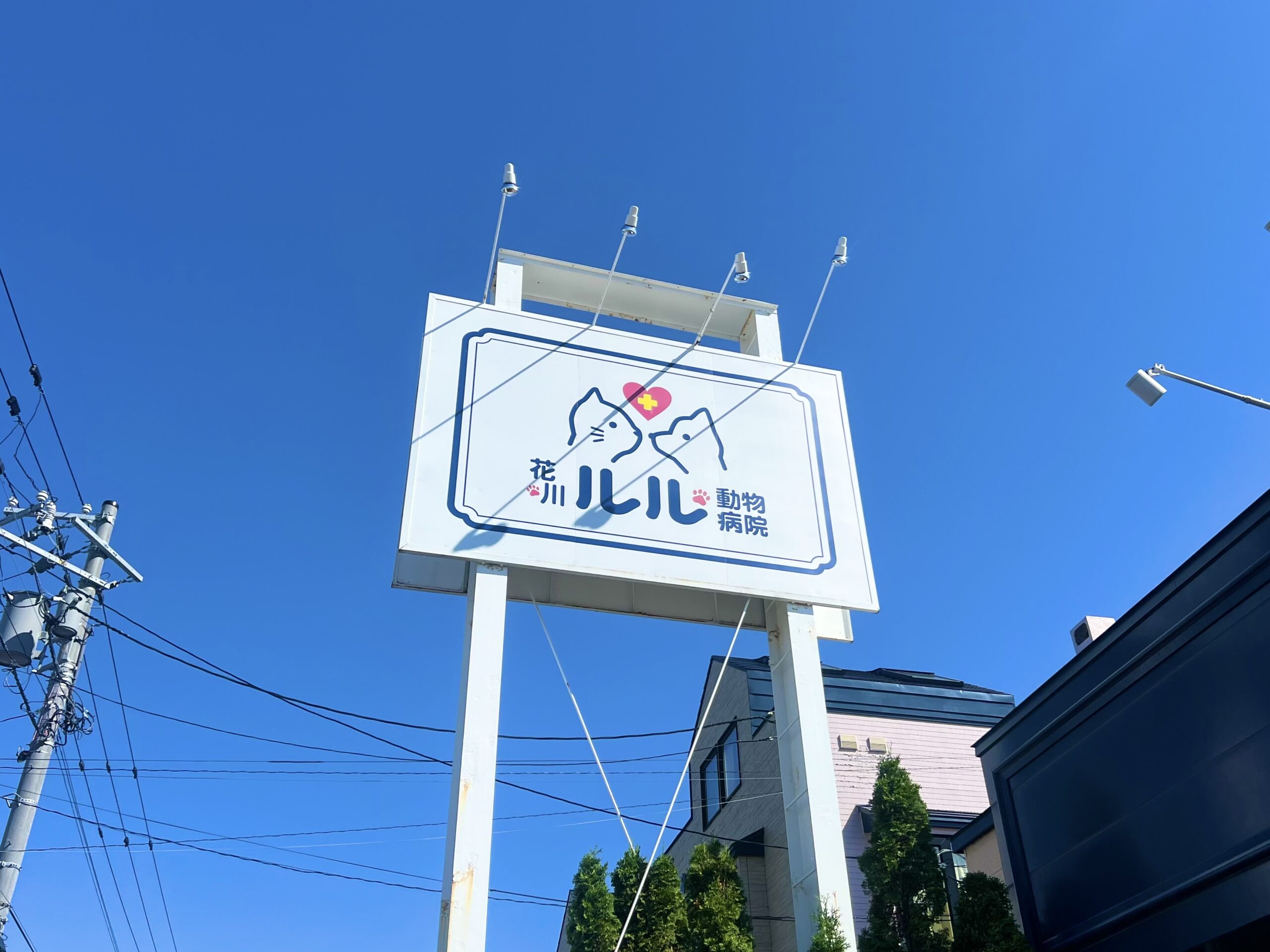 https://r-voice-t.com